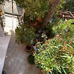Casa Palfy
